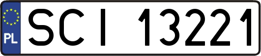 SCI13221