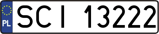 SCI13222