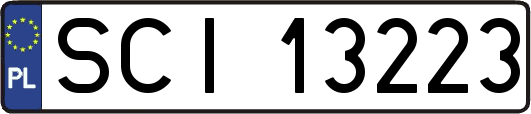 SCI13223