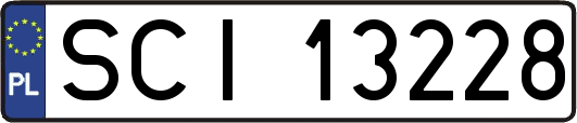 SCI13228