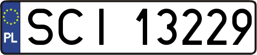 SCI13229