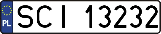 SCI13232