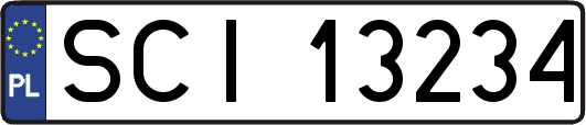 SCI13234