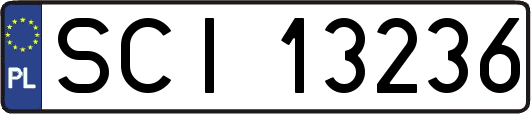 SCI13236