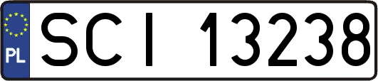 SCI13238