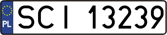 SCI13239