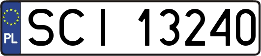 SCI13240