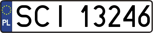 SCI13246