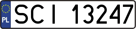 SCI13247