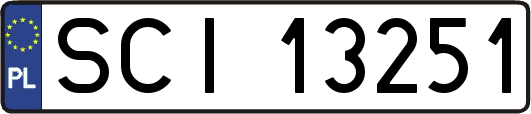 SCI13251