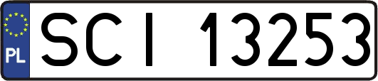 SCI13253