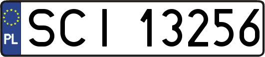 SCI13256