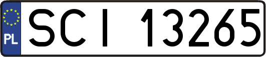 SCI13265
