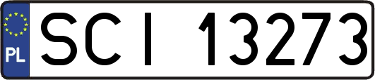 SCI13273