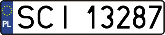 SCI13287