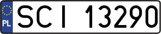 SCI13290
