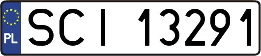 SCI13291