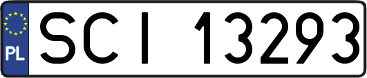 SCI13293