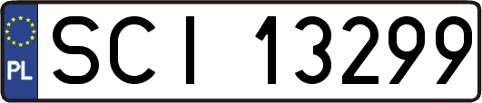 SCI13299