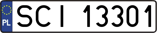 SCI13301