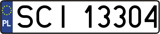 SCI13304
