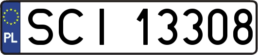 SCI13308