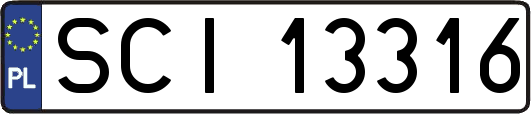 SCI13316