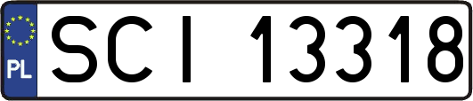 SCI13318