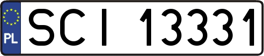 SCI13331