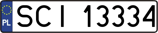 SCI13334