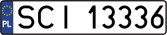 SCI13336