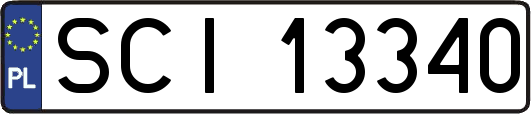 SCI13340