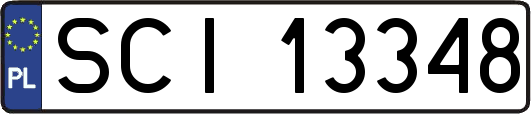 SCI13348