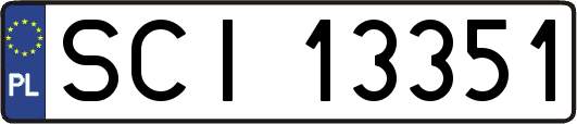 SCI13351