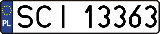 SCI13363