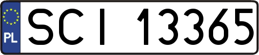 SCI13365