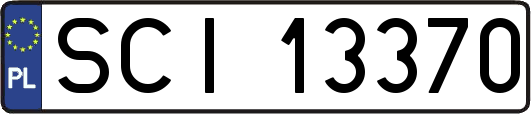 SCI13370