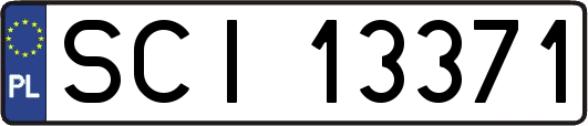 SCI13371