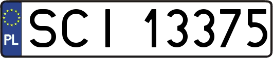 SCI13375