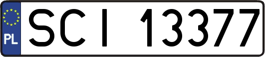 SCI13377