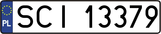 SCI13379