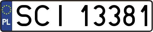 SCI13381