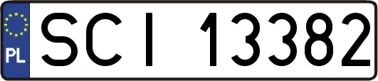 SCI13382