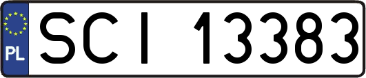 SCI13383