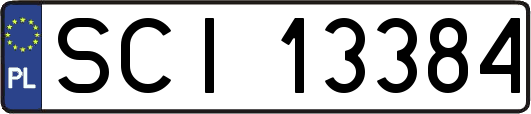 SCI13384