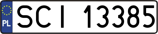 SCI13385