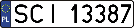 SCI13387