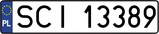 SCI13389
