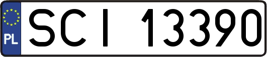 SCI13390
