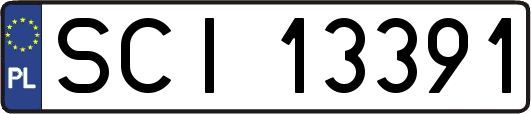 SCI13391